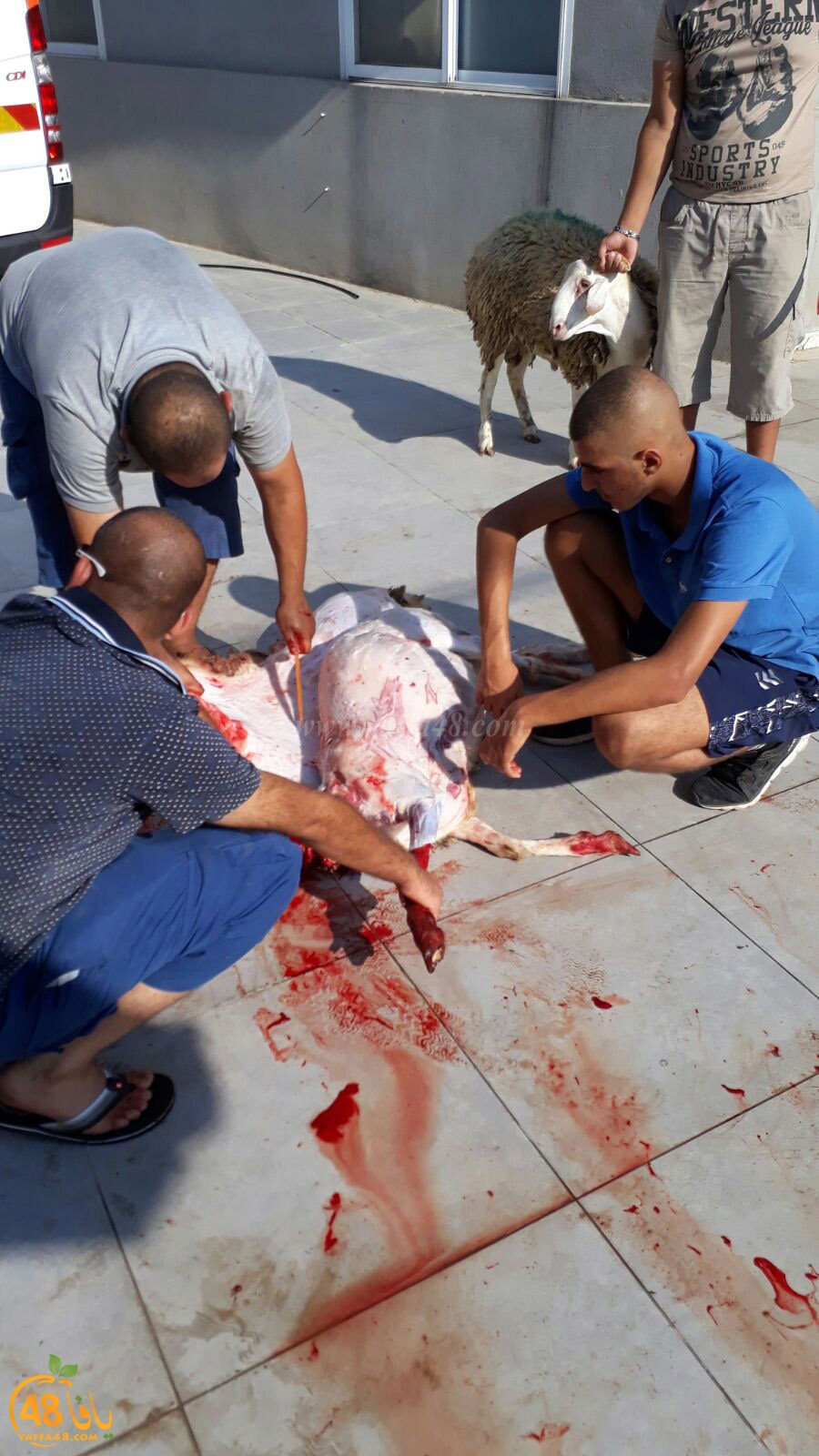 dab7 ada7y wu3ed (34).jpg